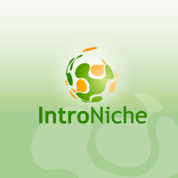 Logo Design IntroNiche